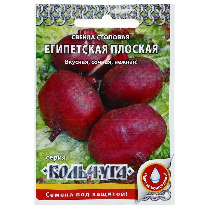 Семена свекла Египетская плоская, Русский Огород